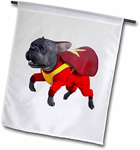 3drose Boehm grafički crtani film - Crtani francuski buldog u Super Dog odijelo - Zastave