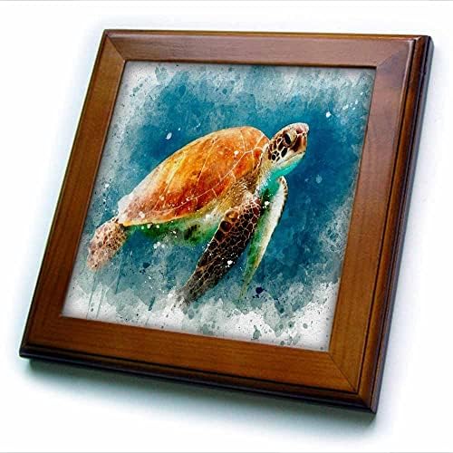 3drose slika akvarelnih kornjača sa umjetničkim okvirima