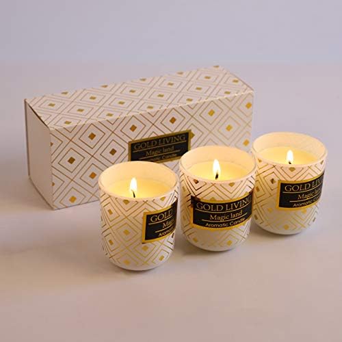 Lasihou Aromaterapy mirisni poklon za svijeće za žene djevojke - Valentinovo rođendan mirisa prirodne sojine voske svijeće za stres reljefni uređenje 5.8oz