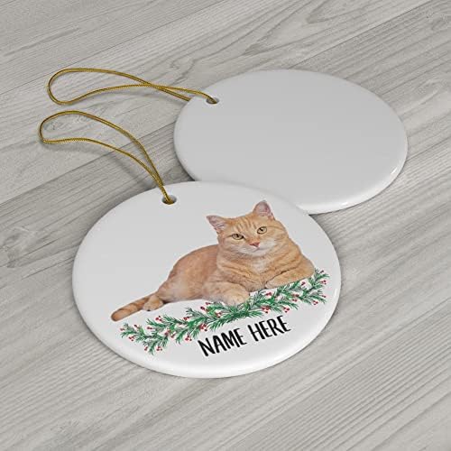 Smiješno Personalizirano ime Tabby Cat Orange pokloni 2023 ukrasi božićnog drvca Krug keramika