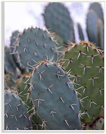 Stupell Industries bodljikavi Trnovi kaktusa zatvaraju fotografiju pustinjska vegetacija, dizajn Jeff Poe Photography