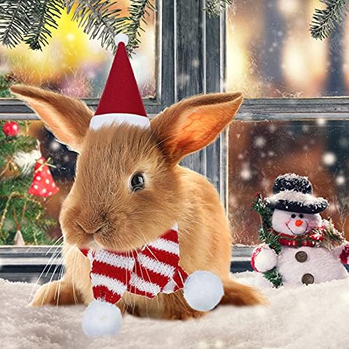 8 komada Božić zamorca s malim životinjskim božićnim kostimom Gvineja svinja Santa šešir i šal zečji